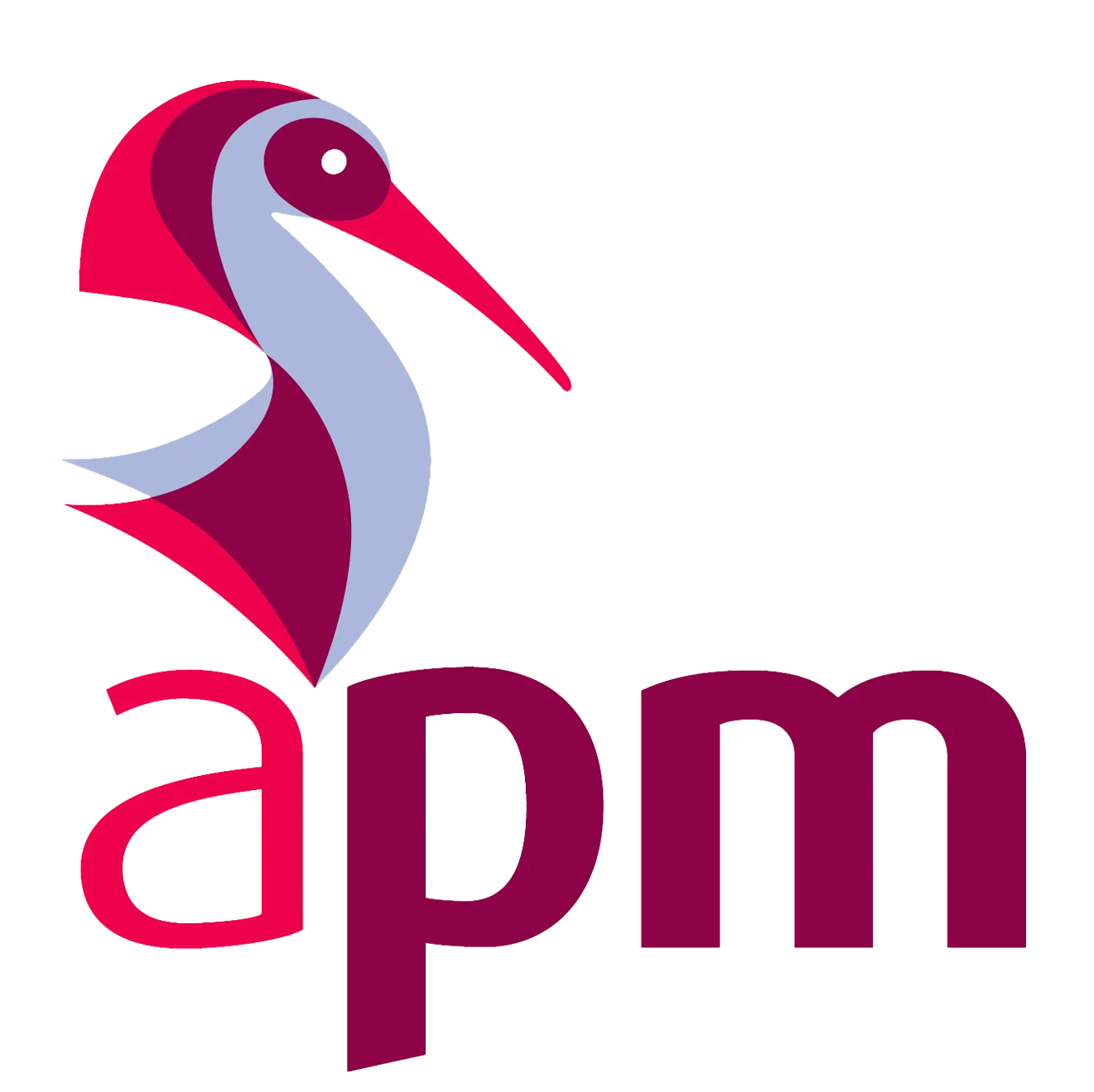 APM Logo